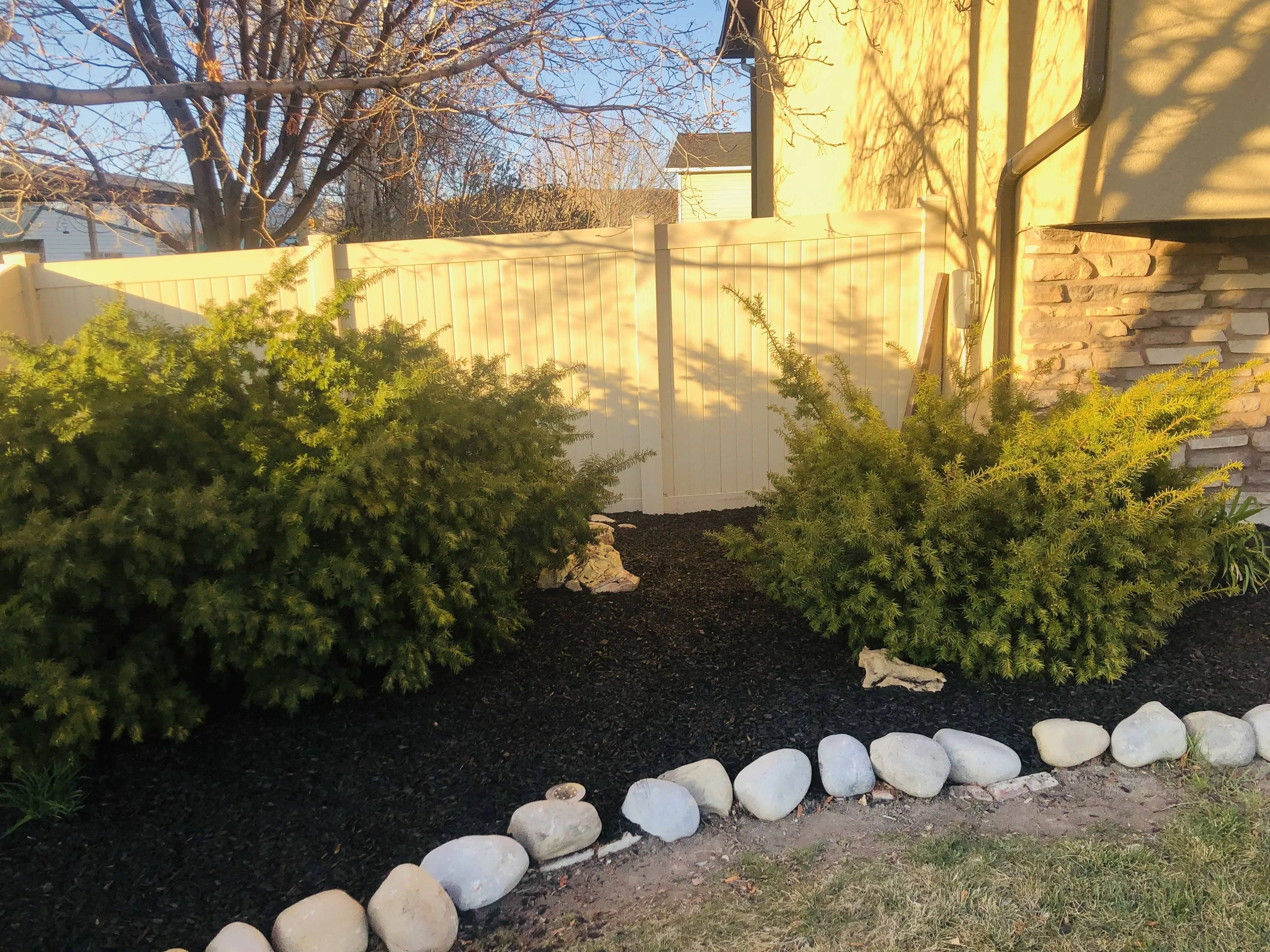New quality black mulch in planter.